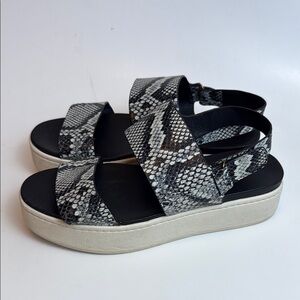 Vince Snakeskin Printed Platform Ankle Strap Sandals Gray Black Size 8.5M